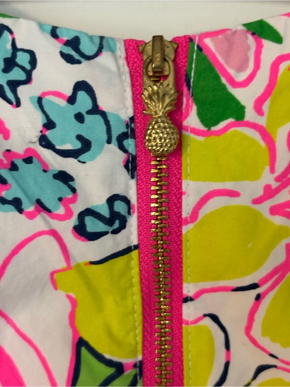 Lilly Pulitzer xTarget size 6/6x shift dress “Nosey Posey